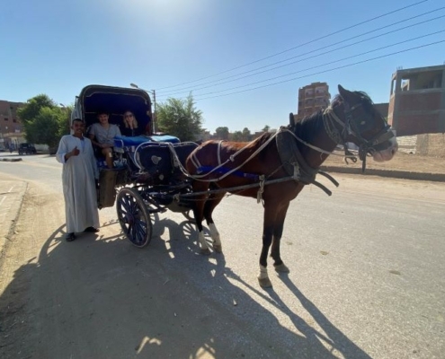 Edfu Transfer mit Pferdekutsche